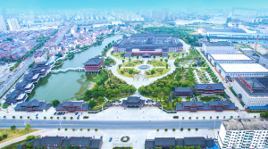 全國政協(xié)委員、仁和集團董事長楊文龍：推動“醫(yī)檢藥保”互聯(lián)互通加快醫(yī)療服務(wù)創(chuàng)新，實現(xiàn)健康中國